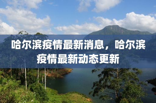 哈爾濱疫情最新消息，哈爾濱疫情最新動態(tài)更新四川好木優(yōu)材家居有限公司