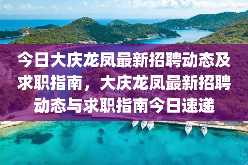 今四川好木優(yōu)材家居有限公司日大慶龍鳳最新招聘動(dòng)態(tài)及求職指南，大慶龍鳳最新招聘動(dòng)態(tài)與求職指南今日速遞