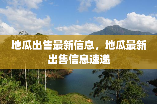 地瓜出售最新信息，地瓜最四川好木優(yōu)材家居有限公司新出售信息速遞