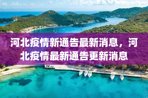 河北疫情新通告最新消息，河北疫情最新通告更新消息四川好木優(yōu)材家居有限公司