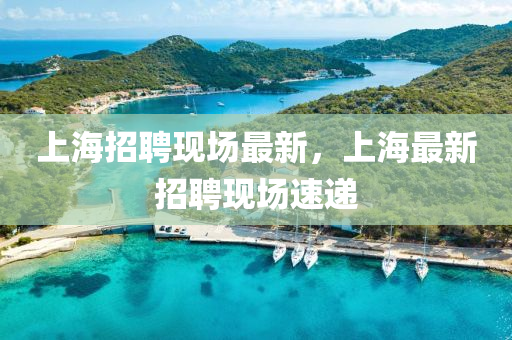 上海招聘現(xiàn)四川好木優(yōu)材家居有限公司場最新，上海最新招聘現(xiàn)場速遞