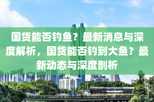 國貨能否釣魚？最新消息與深度解析，國貨能否釣到大魚？最新動態(tài)與深度剖析