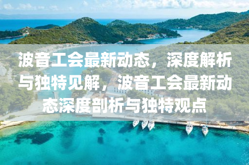 波音工會(huì)最新動(dòng)態(tài)，深度解析與獨(dú)特見解，波音工會(huì)最新動(dòng)態(tài)深度剖析與獨(dú)特觀點(diǎn)