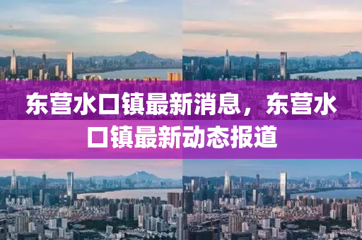 東營水口鎮(zhèn)最新消息，東營水口鎮(zhèn)最新動態(tài)報道