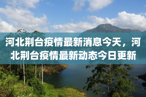 河北荊臺疫情最新消息今天，河北荊臺疫情最新動態(tài)今日更新