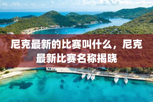 尼克最新的比賽叫什么，尼克最新比賽名稱(chēng)揭曉