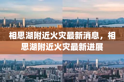 相思湖附近火災最新消息，相思湖附近火災最新進展