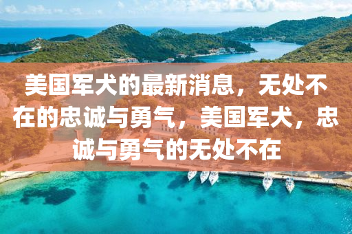 美國(guó)軍犬的最新消息，無處不在的忠誠(chéng)與勇氣，美國(guó)軍犬，忠誠(chéng)與勇氣的無處不在