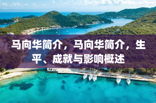 馬向華簡介，馬向華簡介，生平、成就與影響概述