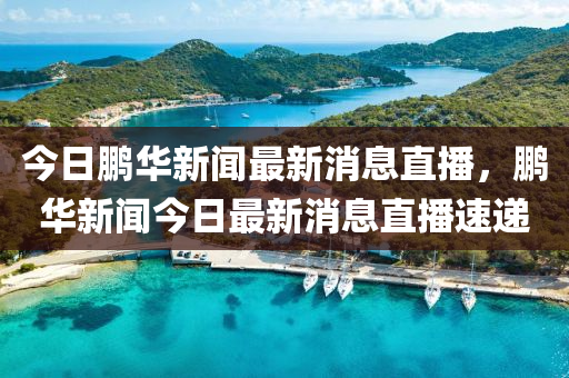 今日鵬華新聞最新消息直播，鵬華新聞今日最新消息直播速遞