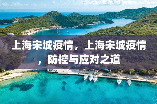 上海宋城疫情，上海宋城疫情，防控與應對之道