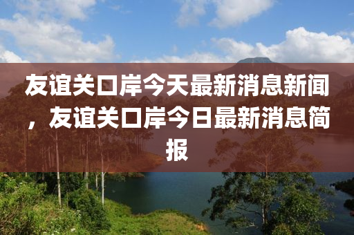友誼關(guān)口岸今天最新消息新聞，友誼關(guān)口岸今日最新消息簡報(bào)