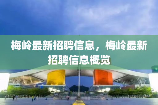 梅嶺最新招聘信息，梅嶺最新招聘信息概覽