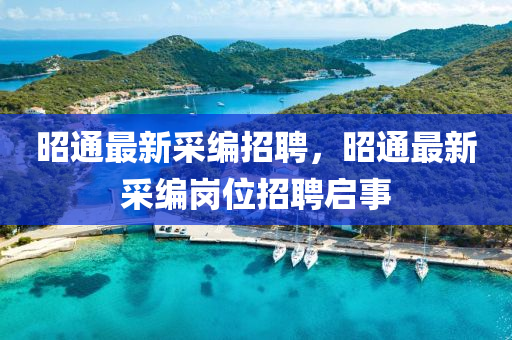 昭通最新采編招聘，昭通最新采編崗位招聘啟事