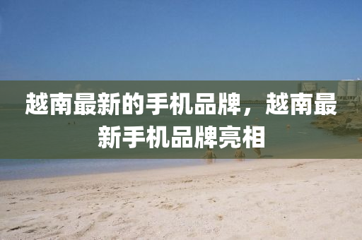 越南最新的手機(jī)品牌，越南最新手機(jī)品牌亮相
