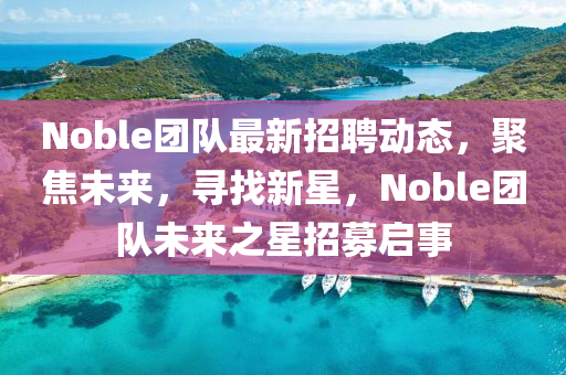 Noble團(tuán)隊(duì)最新招聘動(dòng)態(tài)，聚焦未來，尋找新星，Noble團(tuán)隊(duì)未來之星招募啟事