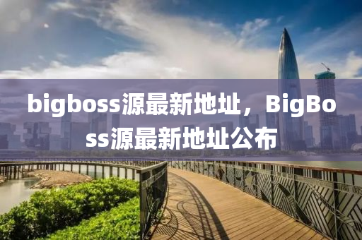 bigboss源最新地址，BigBoss源最新地址公布