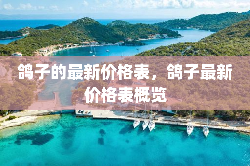 鴿子的最新價格表，鴿子最新價格表概覽