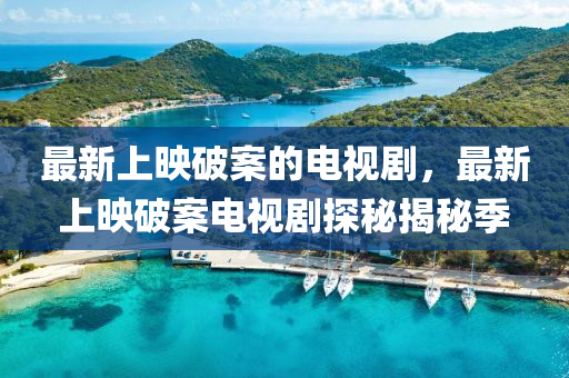 最新上映破案的電視劇，最新上映破案電視劇探秘揭秘季