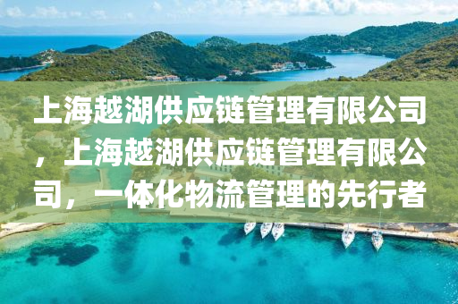 上海越湖供應(yīng)鏈管理有限公司，上海越湖供應(yīng)鏈管理有限公司，一體化物流管理的先行者