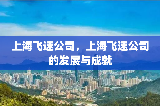 上海飛速公司，上海飛速公司的發(fā)展與成就