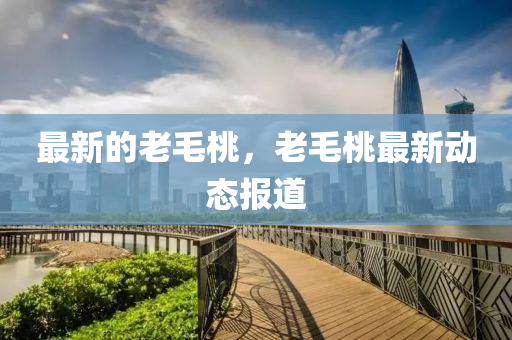 最新的老毛桃，老毛桃最新動(dòng)態(tài)報(bào)道