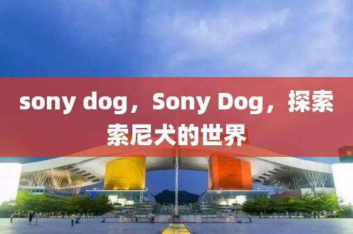 sony dog，Sony Dog，探索索尼犬的世界
