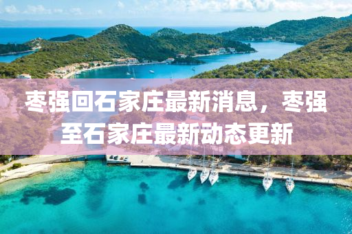 棗強回石家莊最新消息，棗強至石家莊最新動態(tài)更新