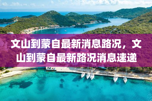 文山到蒙自最新消息路況，文山到蒙自最新路況消息速遞