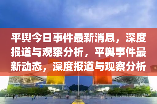 平輿今日事件最新消息，深度報道與觀察分析，平輿事件最新動態(tài)，深度報道與觀察分析