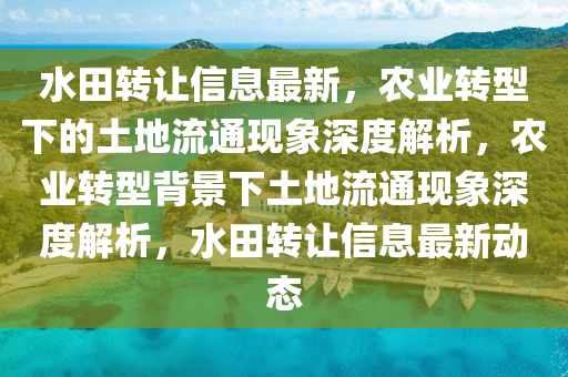 水田轉(zhuǎn)讓信息最新，農(nóng)業(yè)轉(zhuǎn)型下的土地流通現(xiàn)象深度解析，農(nóng)業(yè)轉(zhuǎn)型背景下土地流通現(xiàn)象深度解析，水田轉(zhuǎn)讓信息最新動態(tài)