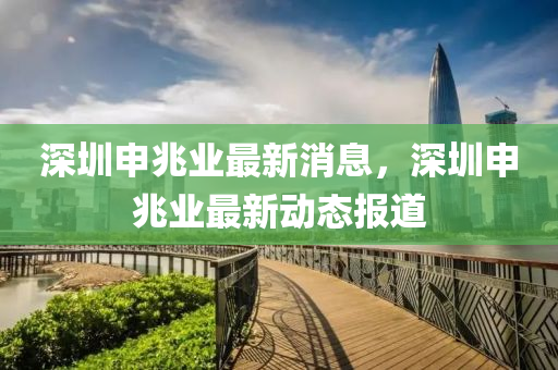 深圳申兆業(yè)最新消息，深圳申兆業(yè)最新動態(tài)報道