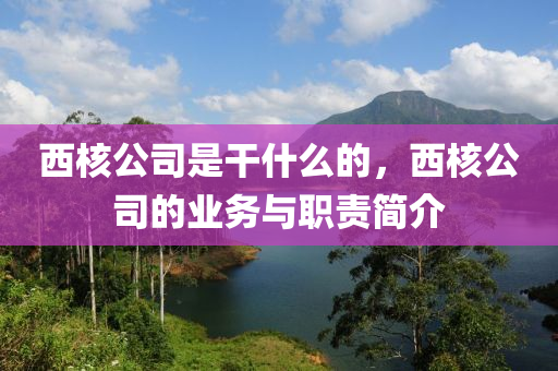西核公司是干什么的，西核公司的業(yè)務(wù)與職責(zé)簡(jiǎn)介