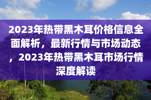 2023年熱帶黑木耳價(jià)格信息全面解析，最新行情與市場動(dòng)態(tài)，2023年熱帶黑木耳市場行情深度解讀