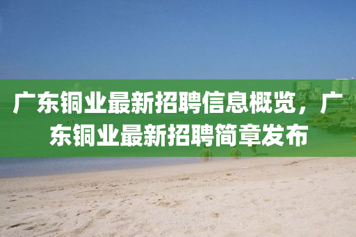 廣東銅業(yè)最新招聘信息概覽，廣東銅業(yè)最新招聘簡(jiǎn)章發(fā)布