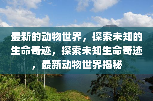 最新的動物世界，探索未知的生命奇跡，探索未知生命奇跡，最新動物世界揭秘