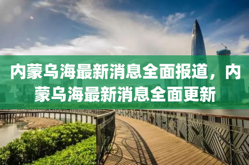 內(nèi)蒙烏海最新消息全面報道，內(nèi)蒙烏海最新消息全面更新