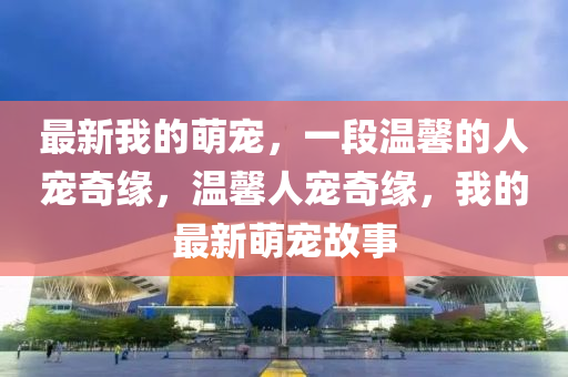 最新我的萌寵，一段溫馨的人寵奇緣，溫馨人寵奇緣，我的最新萌寵故事
