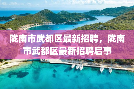 隴南市武都區(qū)最新招聘，隴南市武都區(qū)最新招聘啟事