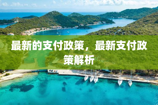 最新的支付政策，最新支付政策解析