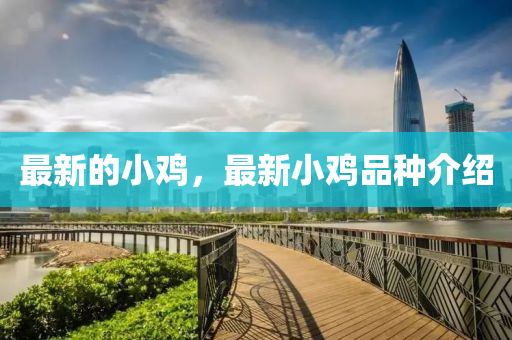 最新的小雞，最新小雞品種介紹