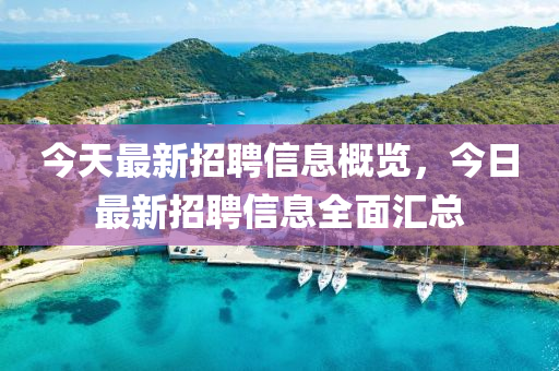 今天最新招聘信息概覽，今日最新招聘信息全面匯總