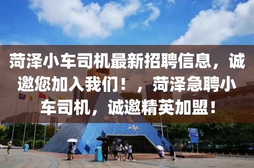 菏澤小車司機最新招聘信息，誠邀您加入我們！，菏澤急聘小車司機，誠邀精英加盟！