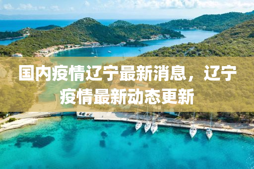 國(guó)內(nèi)疫情遼寧最新消息，遼寧疫情最新動(dòng)態(tài)更新