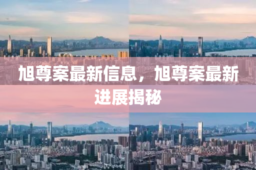 旭尊案最新信息，旭尊案最新進展揭秘