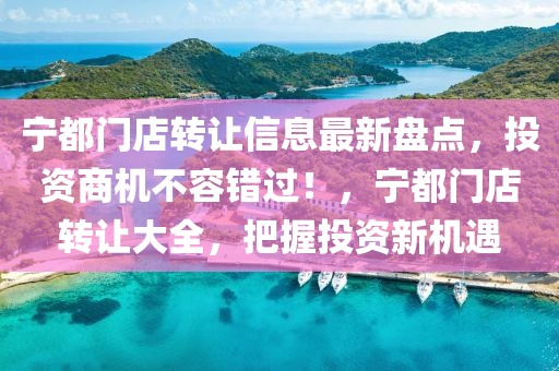 寧都門店轉讓信息最新盤點，投資商機不容錯過！，寧都門店轉讓大全，把握投資新機遇