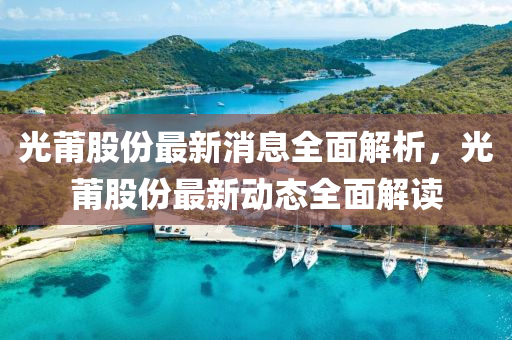 光莆股份最新消息全面解析，光莆股份最新動(dòng)態(tài)全面解讀