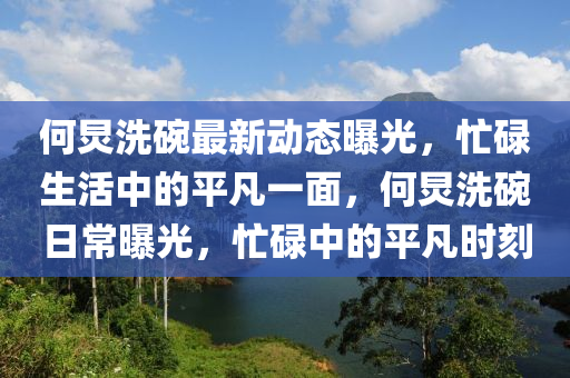 何炅洗碗最新動(dòng)態(tài)曝光，忙碌生活中的平凡一面，何炅洗碗日常曝光，忙碌中的平凡時(shí)刻四川好木優(yōu)材家居有限公司