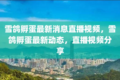 雪鴿孵蛋最新消息直播視頻，雪鴿孵蛋最新動態(tài)，直播視頻分享