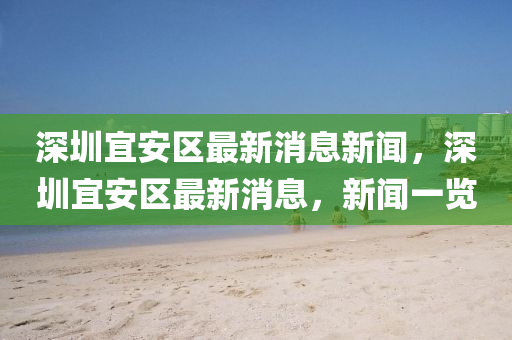 深圳宜安區(qū)最新消息新聞，深圳宜安區(qū)最新消息，新聞一覽